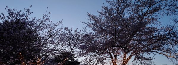 写真 (22)